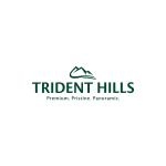 Trident Hills 1